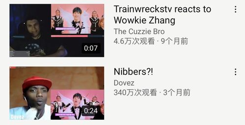 甲亢哥大张伟合唱《阳光彩虹小白马》 甲亢哥大张伟合唱《阳光彩虹小白马》