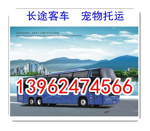 鹿邑去郸城汽车多少钱 鹿邑去郸城汽车多少钱