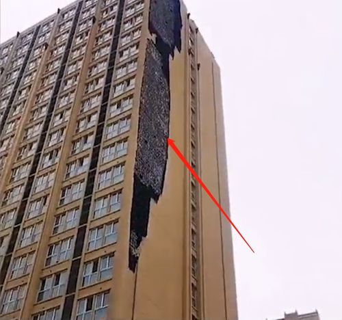 风刮落楼房外立面 居民被砸抢救 风刮落楼房外立面 居民被砸抢救