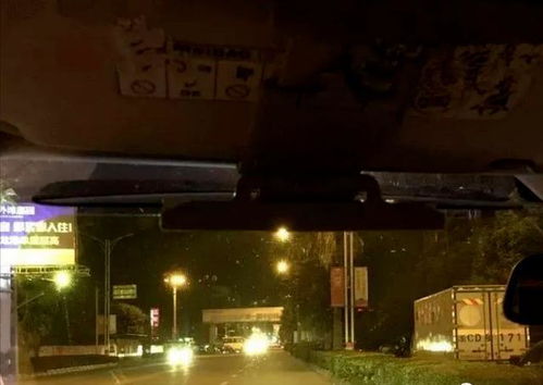 难怪有故人之姿 原来是故人外甥 难怪有故人之姿 原来是故人外甥