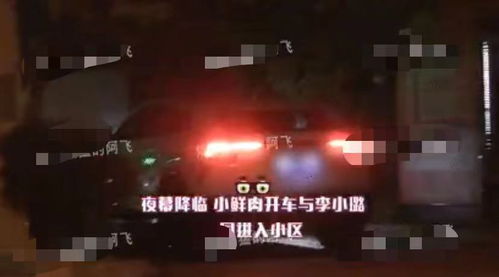 贾乃亮全家出游 被猜与李小璐复合 贾乃亮全家出游 被猜与李小璐复合