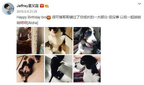 孕妇被狗咬 主人称狗咬的让狗道歉 孕妇被狗咬 主人称狗咬的让狗道歉
