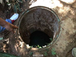 走路时踩空 大学生掉化粪池遇难(大学生走路时踩空,不幸掉入化粪池遇难) 走路时踩空 大学生掉化粪池遇难(大学生走路时踩空,不幸掉入化粪池遇难)
