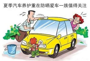 保养汽车干洗汽车多少钱(汽车保养与干洗，深度探讨费用及细节)