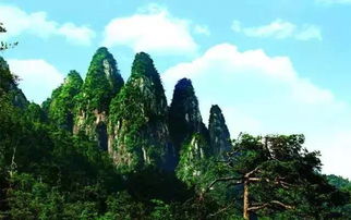 海口五指山汽车票价多少(海口五指山汽车票价详解)