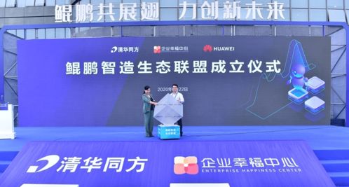 信创电脑 华为怎么样(信创电脑与华为，技术与品质的新时代典范)