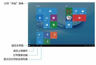 华为平板怎么支持cad电脑版(华为平板如何支持CAD电脑版软件应用)