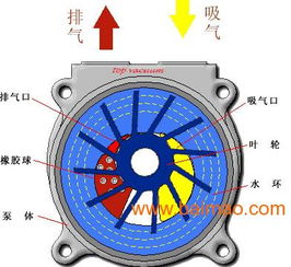 汽车真空泵会响吗多少钱(汽车真空泵的工作原理及其价格探讨，会响吗？多少钱？