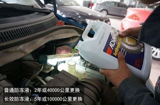 汽车换一个配件多少钱呀(汽车配件更换费用解析，了解汽车换一个配件到底多少钱)