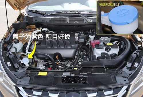 途观汽车玻璃水加多少(途观汽车玻璃水的加注量与操作指南) 途观汽车玻璃水加多少(途观汽车玻璃水的加注量与操作指南)