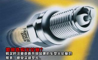 换汽车的火花塞多少钱啊(换汽车火花塞的费用解析) 换汽车的火花塞多少钱啊(换汽车火花塞的费用解析)