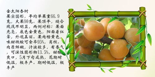 汽车保险公司打漆多少钱(汽车保险公司打漆价格解析) 汽车保险公司打漆多少钱(汽车保险公司打漆价格解析)