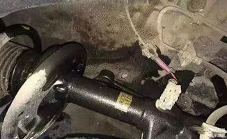 哈弗汽车减震器加多少油(哈弗汽车减震器加油量的研究) 哈弗汽车减震器加多少油(哈弗汽车减震器加油量的研究)