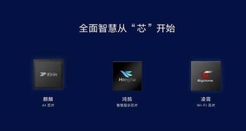 华为智慧屏怎么秒变电脑(华为智慧屏秒变电脑,探索科技与生活的无限可能) 华为智慧屏怎么秒变电脑(华为智慧屏秒变电脑,探索科技与生活的无限可能)
