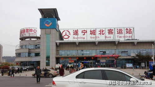 衡东汽车站咨询电话多少(衡东汽车站咨询电话一览) 衡东汽车站咨询电话多少(衡东汽车站咨询电话一览)