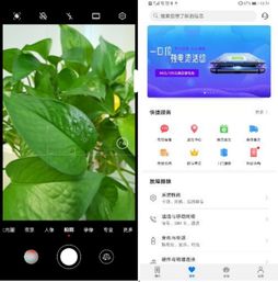 华为电脑的抖音怎么直播(华为电脑抖音直播操作指南)
