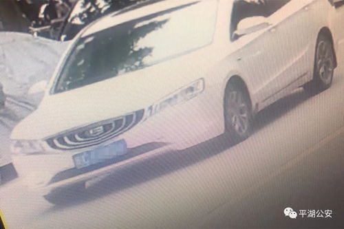 女生开汽车要多少钱一天(女生开汽车一天的费用分析) 女生开汽车要多少钱一天(女生开汽车一天的费用分析)