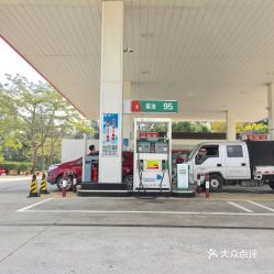 廉江城东汽车站电话多少(探索廉江城东汽车站，电话号码与更多信息)