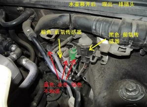 轩逸汽车氧传感器多少钱(轩逸汽车氧传感器价格解析) 轩逸汽车氧传感器多少钱(轩逸汽车氧传感器价格解析)