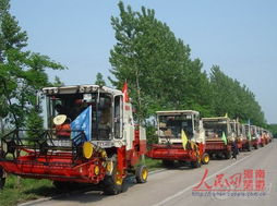 汽车收割机轮胎气压多少(汽车收割机轮胎气压多少,轮胎维护的重要性及建议气压值) 汽车收割机轮胎气压多少(汽车收割机轮胎气压多少,轮胎维护的重要性及建议气压值)
