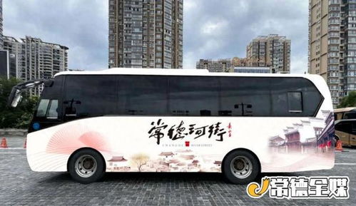 炎陵至佛山汽车票多少钱(炎陵至佛山汽车票价详解,费用、路线与旅行准备) 炎陵至佛山汽车票多少钱(炎陵至佛山汽车票价详解,费用、路线与旅行准备)