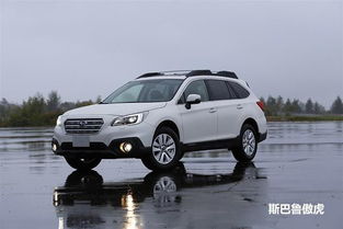 汽车乖乖虎多少钱一只(汽车乖乖虎价格解析,多少钱一只? 汽车乖乖虎多少钱一只(汽车乖乖虎价格解析,多少钱一只?