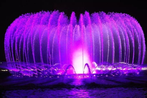 迪拜喷泉多少钱一辆汽车(迪拜喷泉下的汽车文化与价值探究)