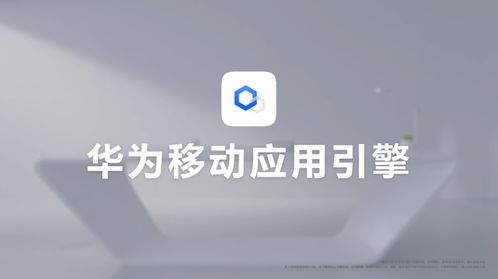 电脑华为应用市场怎么更新app(华为应用市场电脑版如何更新应用程序,详细步骤与注意事项) 电脑华为应用市场怎么更新app(华为应用市场电脑版如何更新应用程序,详细步骤与注意事项)