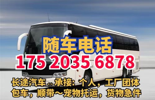 扬州到东营汽车票多少钱(扬州到东营汽车票价查询，一路的风景与费用)