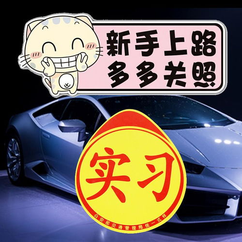 汽车实习标志多少钱一张(汽车实习标志的价格及其重要性)