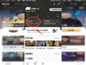 华为优酷会员怎么在电脑(华为优酷会员在电脑上如何畅享视听盛宴) 华为优酷会员怎么在电脑(华为优酷会员在电脑上如何畅享视听盛宴)