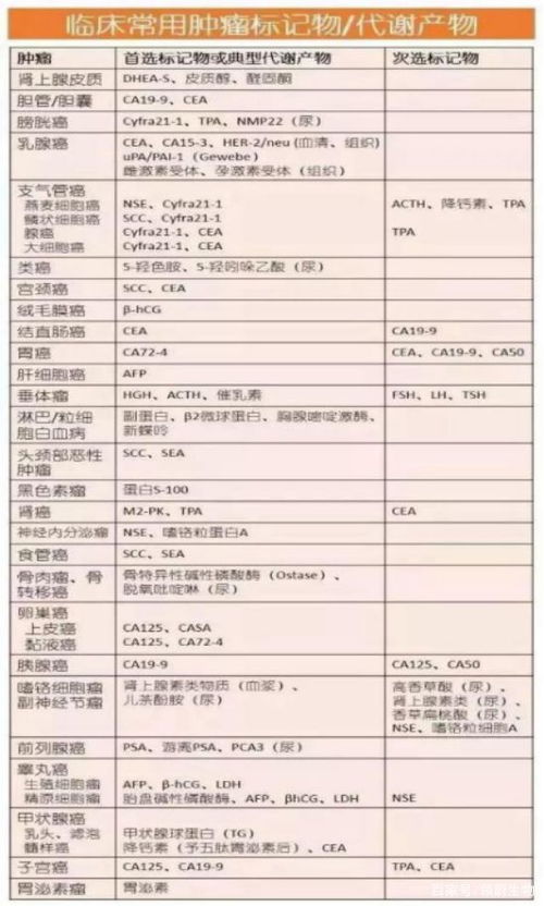 深圳北到大旺汽车多少钱(深圳北到大旺，汽车票价详解)