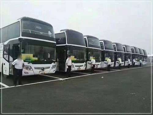 惠州到雷州汽车站多少钱(惠州到雷州汽车站的价格及旅行指南) 惠州到雷州汽车站多少钱(惠州到雷州汽车站的价格及旅行指南)
