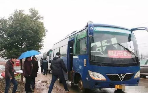 都昌县到海南汽车多少钱(都昌县到海南汽车运输费用详解)