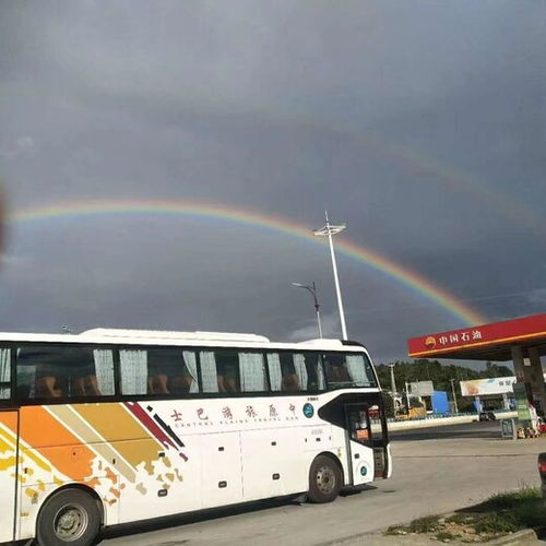 九江到常德汽车电话多少(九江至常德长途汽车服务热线电话详解) 九江到常德汽车电话多少(九江至常德长途汽车服务热线电话详解)