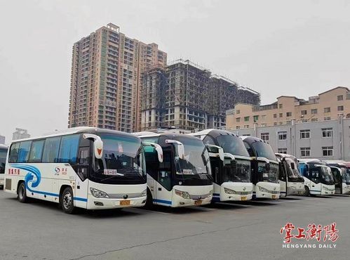 杨箕客运汽车站电话多少(杨箕客运汽车站电话及相关服务信息介绍)