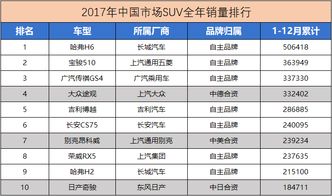 六月自主汽车占有率多少(六月自主汽车品牌市场占有率深度解析)