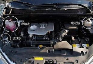 汽车漏冷却液修多少钱(汽车漏冷却液维修费用解析) 汽车漏冷却液修多少钱(汽车漏冷却液维修费用解析)