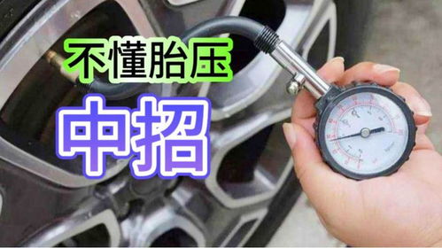 汽车胎压加气需要多少钱(汽车胎压加气需要多少钱,深入了解汽车胎压与加气成本) 汽车胎压加气需要多少钱(汽车胎压加气需要多少钱,深入了解汽车胎压与加气成本)