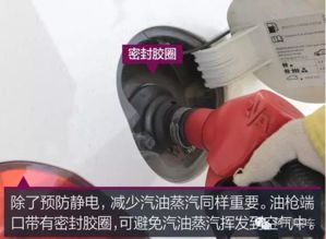 汽车油雾器加多少油好(汽车油雾器加油量的最佳选择)
