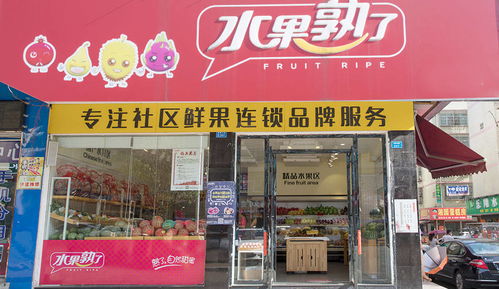 龙华汽车站水果园多少钱(龙华汽车站附近的水果园价格概览)