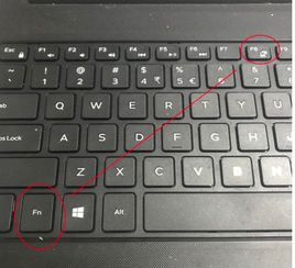 华为电脑怎么开关键盘灯(华为电脑如何开启键盘灯光—详细操作指南)