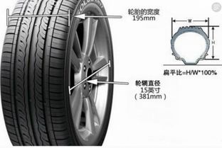汽车轮胎胎侧多少层钢丝(汽车轮胎胎侧钢丝层数深度解析) 汽车轮胎胎侧多少层钢丝(汽车轮胎胎侧钢丝层数深度解析)