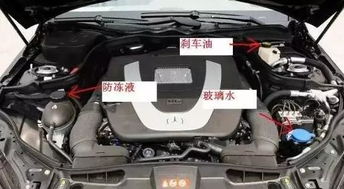塞拉图汽车防冻液多少升(塞拉图汽车防冻液容量解析,需要多少升? 塞拉图汽车防冻液多少升(塞拉图汽车防冻液容量解析,需要多少升?