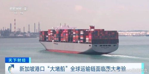 大连港汽车轮渡多少钱(大连港汽车轮渡费用详解)