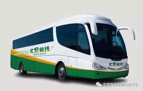 桂林到清塘汽车站多少钱(桂林到清塘汽车站的价格与行程指南)