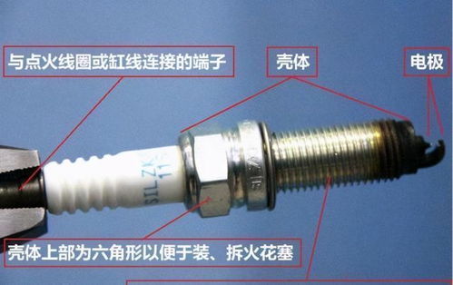 海马汽车火花塞多少钱(海马汽车火花塞价格解析) 海马汽车火花塞多少钱(海马汽车火花塞价格解析)