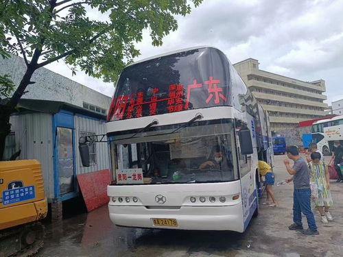 屏南新汽车站电话多少(屏南新汽车站电话大全及相关服务介绍)