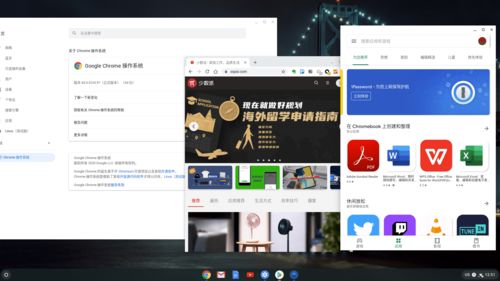 怎么拯救华为电脑自拍框(如何拯救华为电脑自拍框，问题与解决方案探讨)