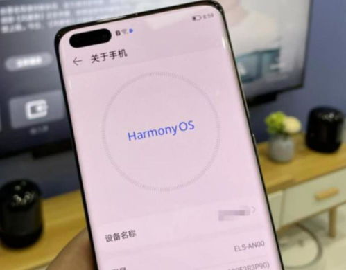 华为鸿蒙和电脑怎么连接(华为鸿蒙系统与电脑连接的实现方法) 华为鸿蒙和电脑怎么连接(华为鸿蒙系统与电脑连接的实现方法)